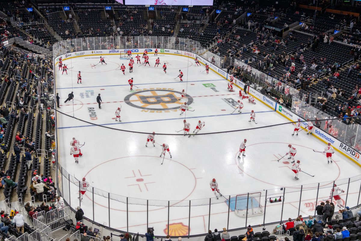 AHL Atlantic Division Semifinals: Providence Bruins vs. Springfield Thunderbirds - Home Game 1, Series Game 1