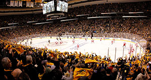 Boston Bruins
